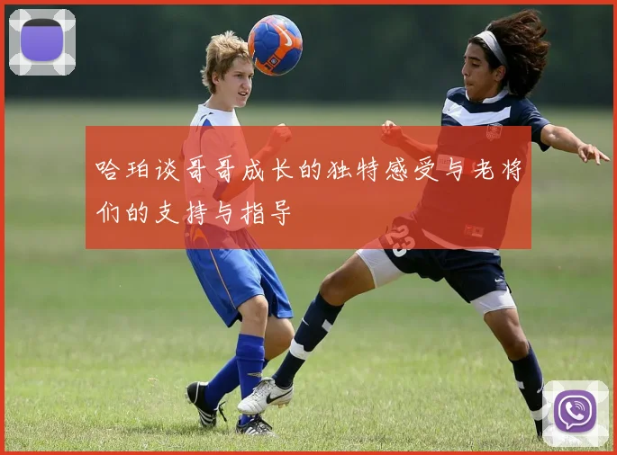 哈珀谈哥哥成长的独特感受与老将们的支持与指导